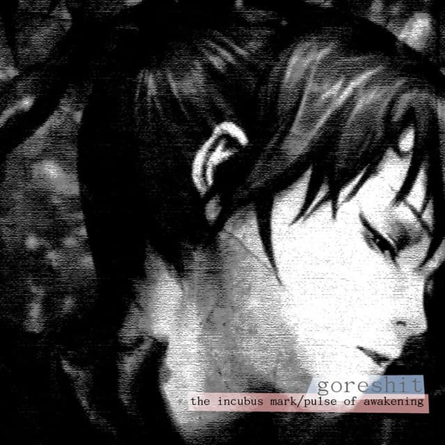 the incubus mark/pulse of awakening cover