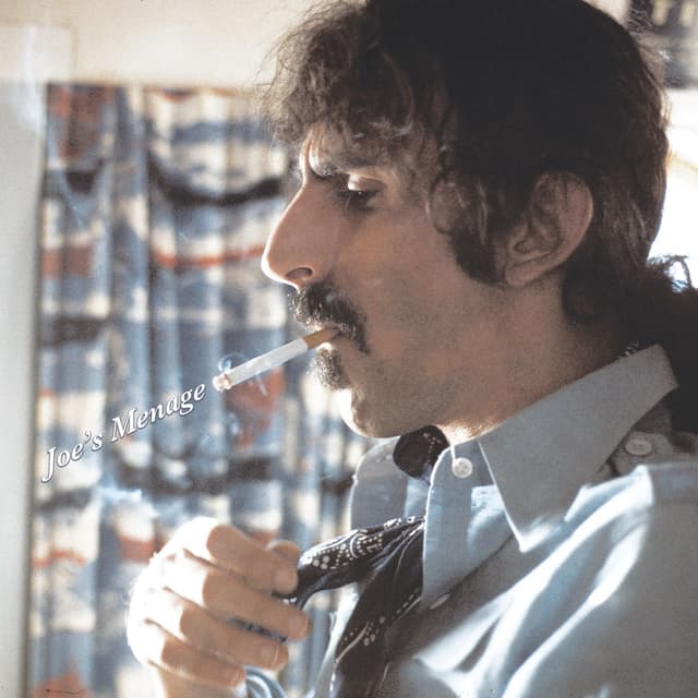 Joe's Menage album cover