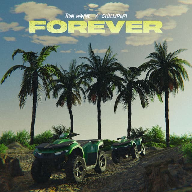 Forever (feat. Shallipopi) cover