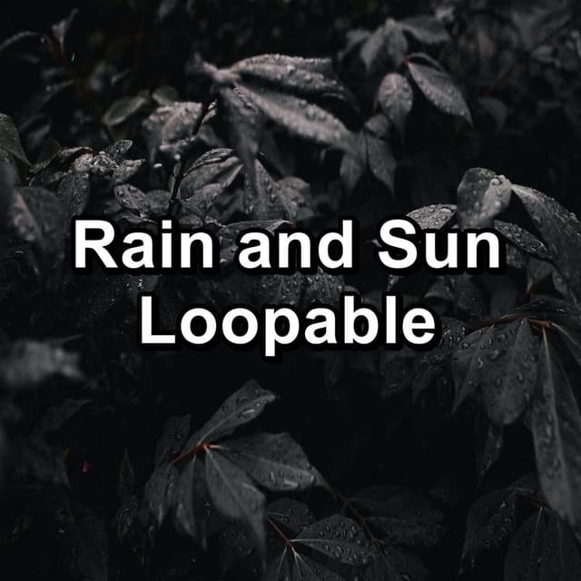 Rain and Sun Loopable cover