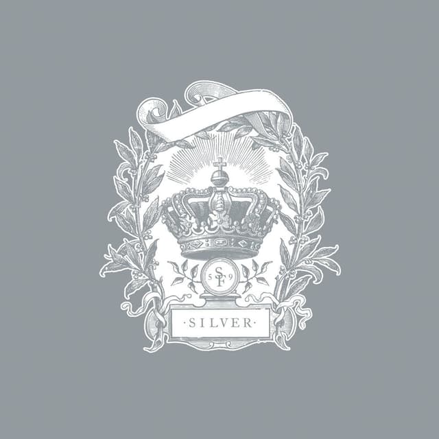 Silver album cover