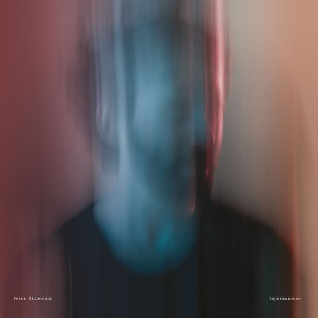 Impermanence album cover