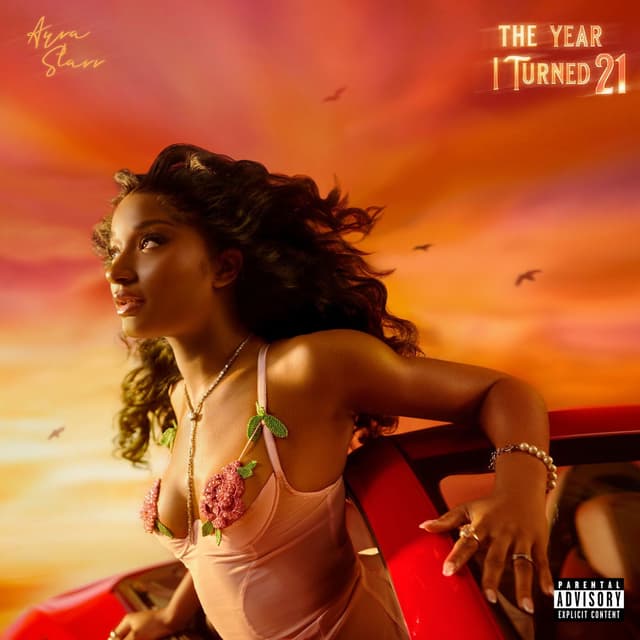 The Year I Turned 21 album cover