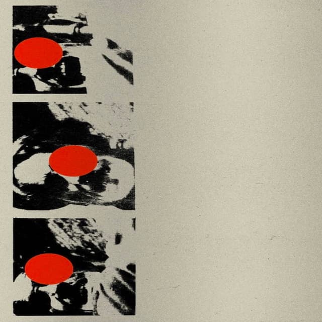 Language cover