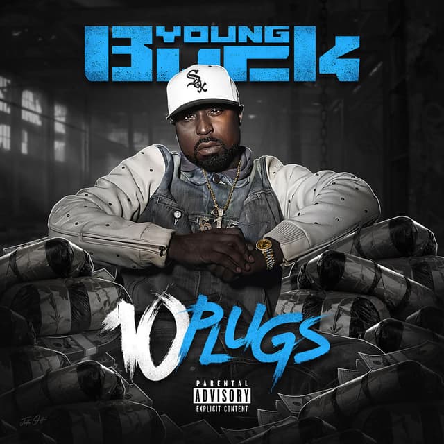10 Plugs cover
