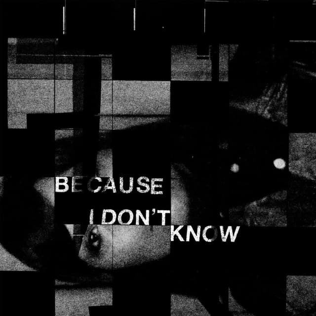 Because I Don't Know cover
