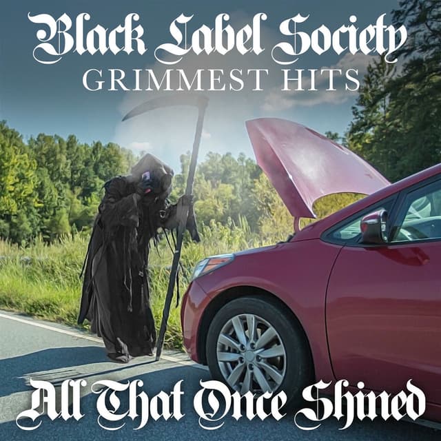 All That Once Shined album cover