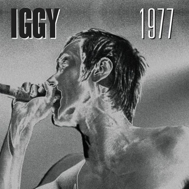 1977 cover