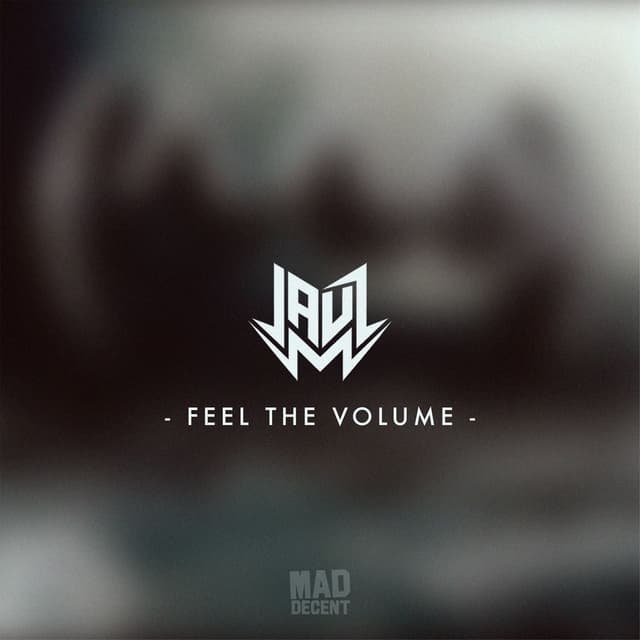 Feel the Volume cover