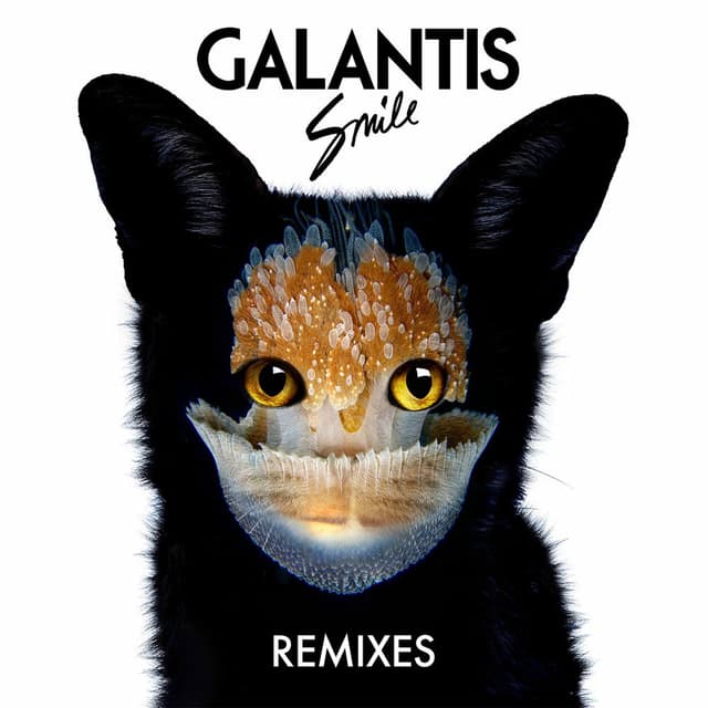 Smile Remixes cover