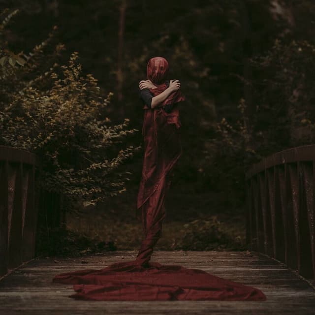 The Fountain cover