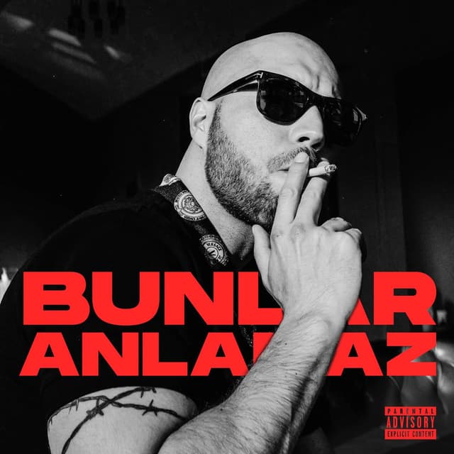Bunlar Anlamaz cover