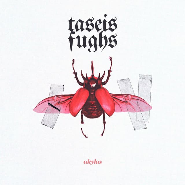 Taseis Fygis cover