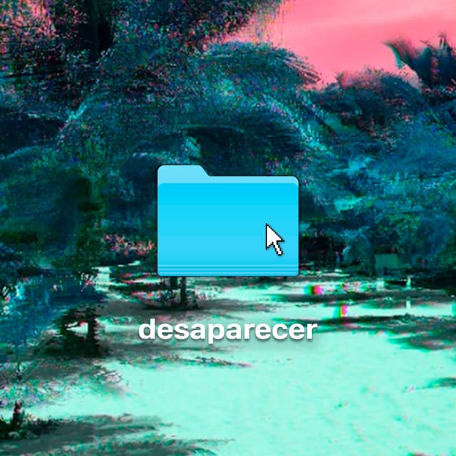 Desaparecer cover