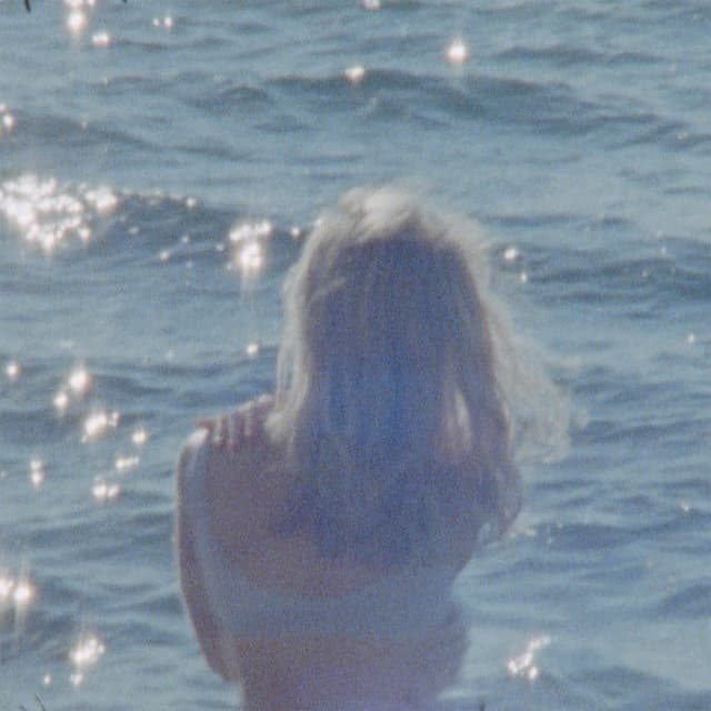 Shelter cover