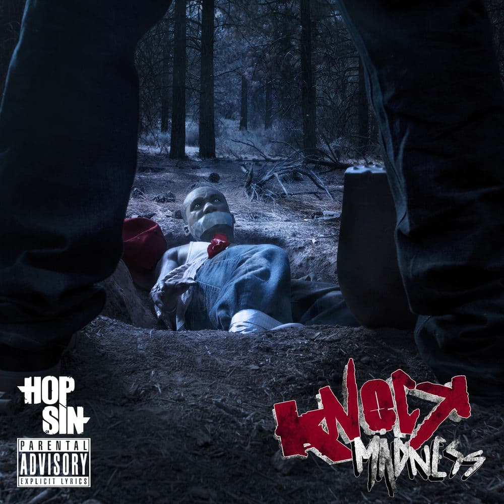 Knock Madness cover