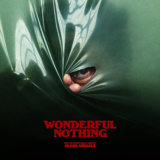 Wonderful Nothing (Edit) cover