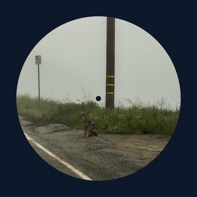 14 minutes cover
