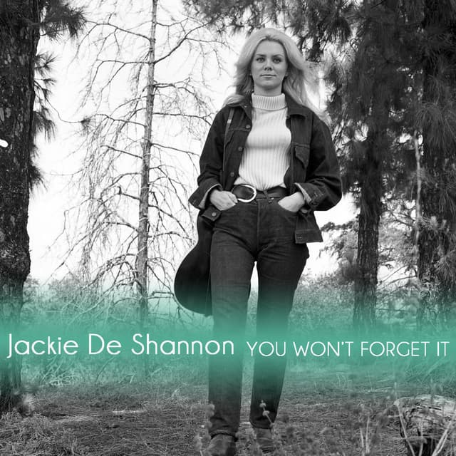You Wont Forget It cover