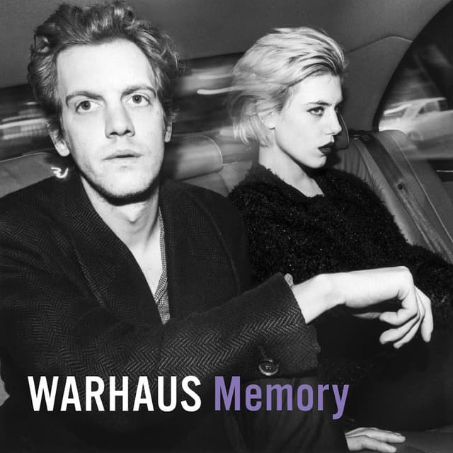 Memory cover
