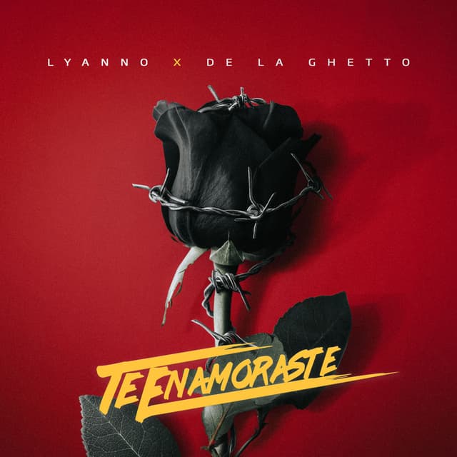 Te Enamoraste cover
