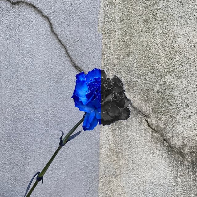 What is Love (feat. End of the World) cover