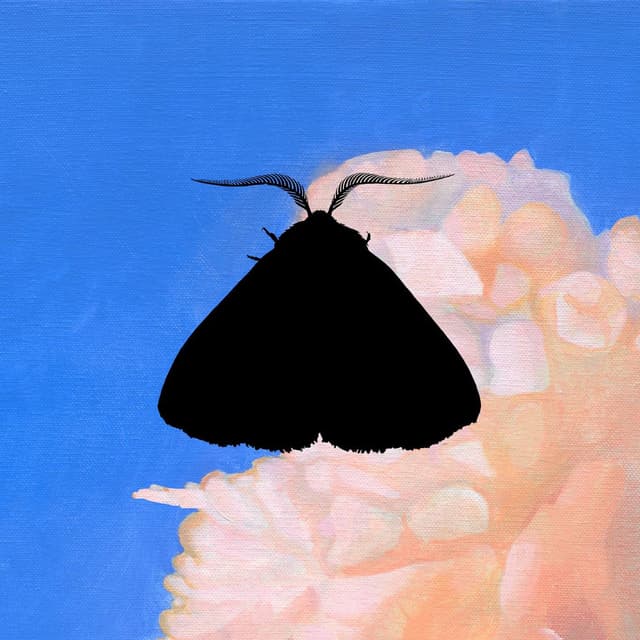 Moth to the Flame (Whatever/Whatever Remix) cover