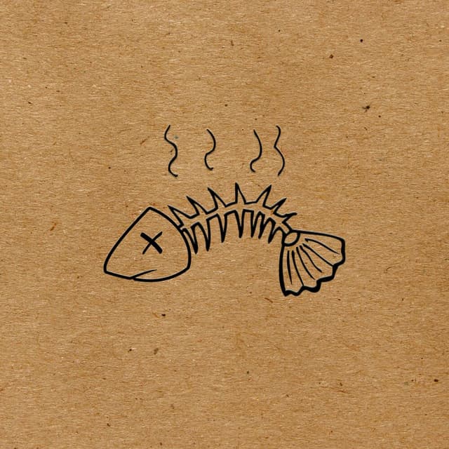 Anchovies cover