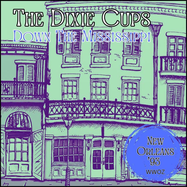 Down The Mississippi (Live New Orleans '93) cover