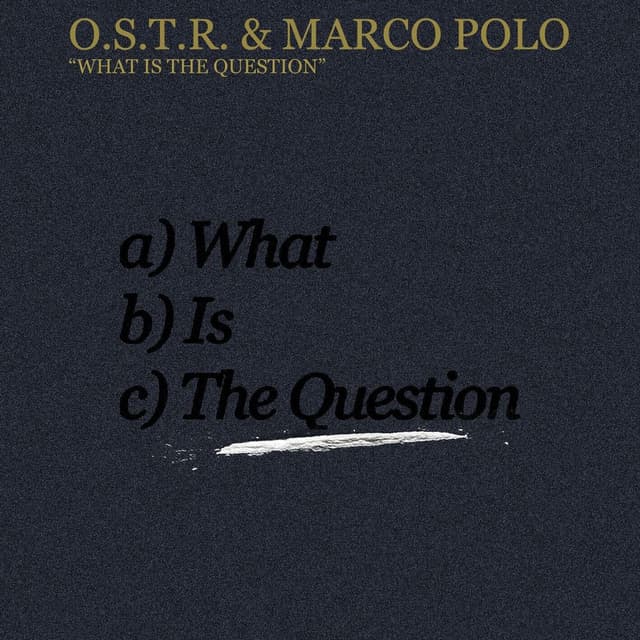 What Is The Question cover