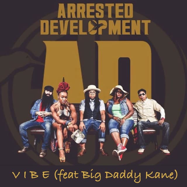 Vibe cover