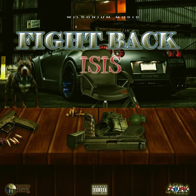 Fight Back cover