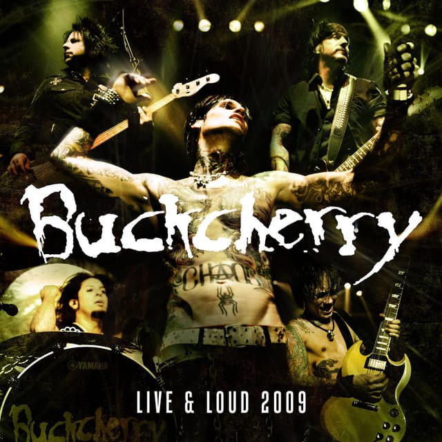 Live And Loud 2009 album cover
