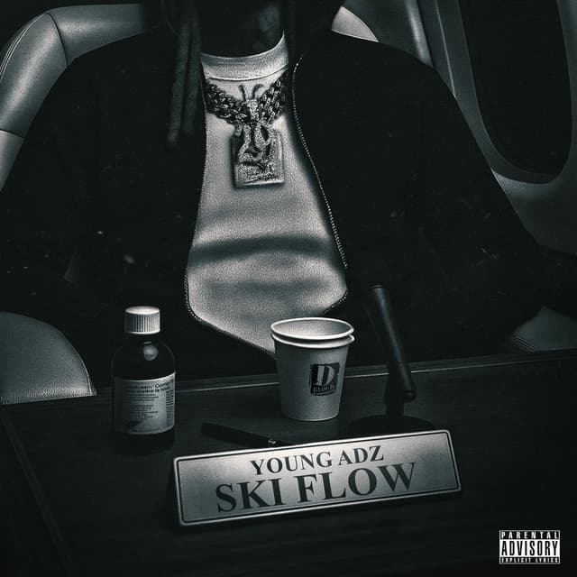 Ski Flow cover