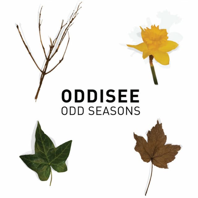 Odd Seasons cover