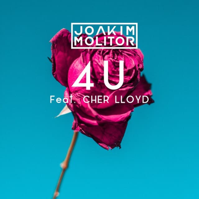4U cover
