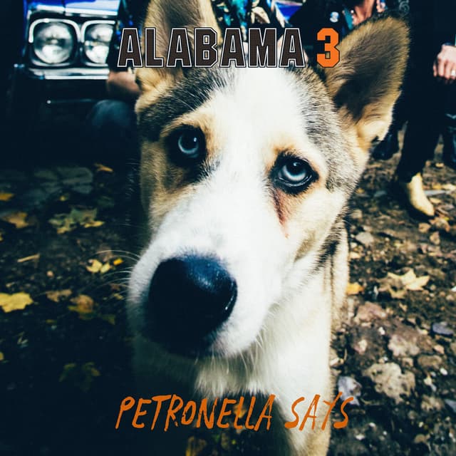 Petronella Says cover