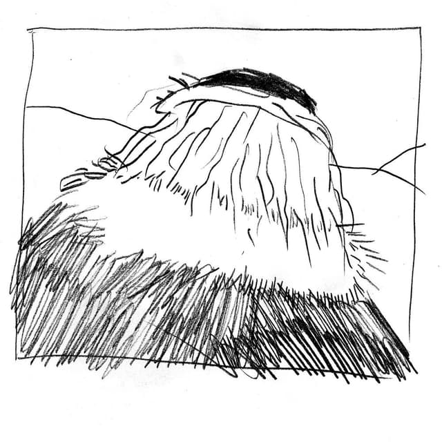 Fat Man's Comin' album cover