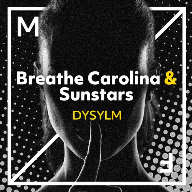 DYSYLM cover
