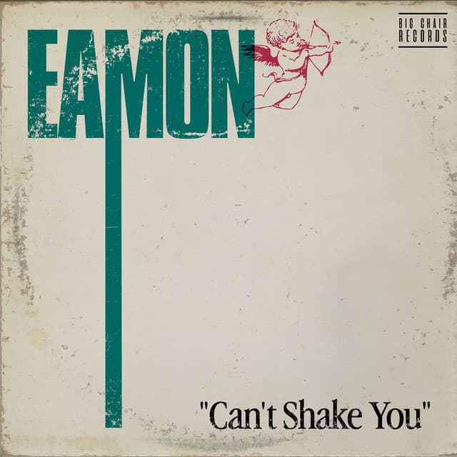 Can't Shake You cover