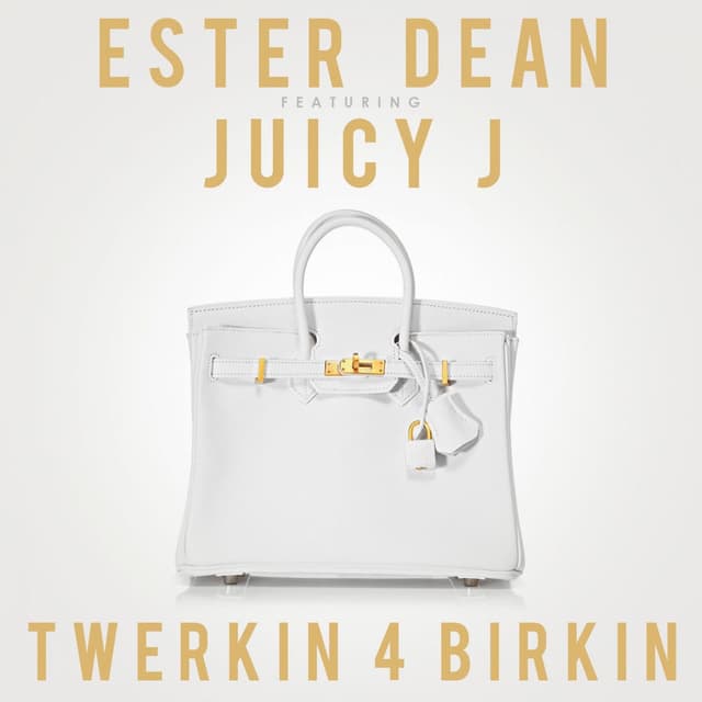 Twerkin 4 Birkin (feat. Juicy J) - Single cover