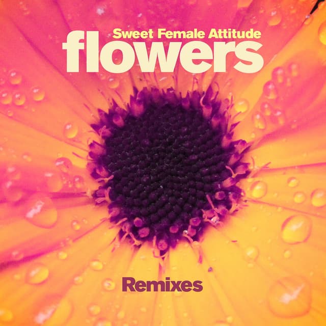 Flowers (Remixes) cover