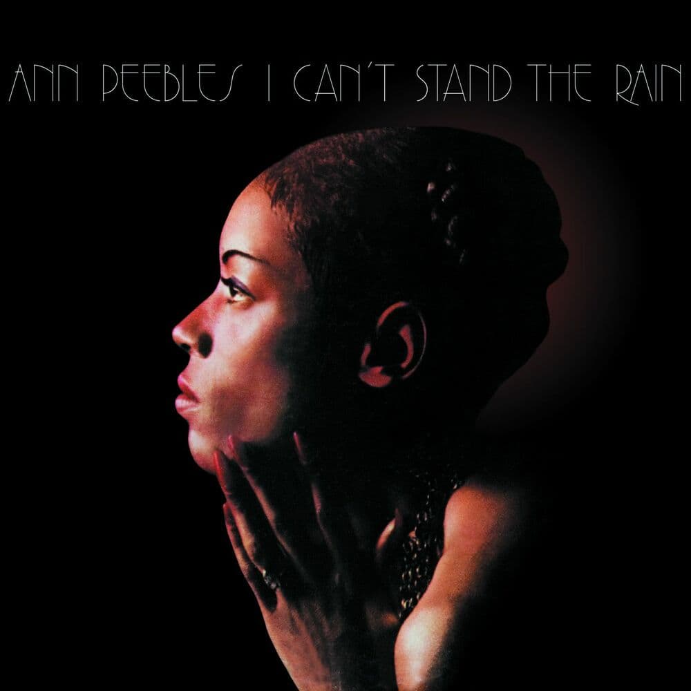 I Can't Stand the Rain cover