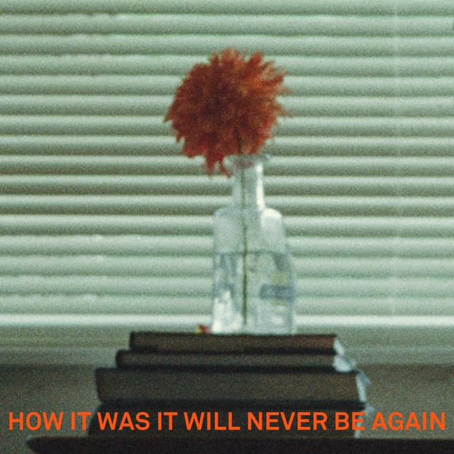 How It Was It Will Never Be Again cover
