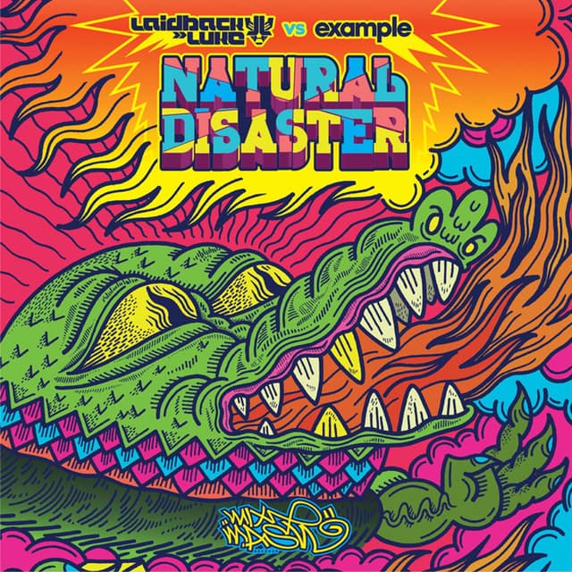 Natural Disaster cover