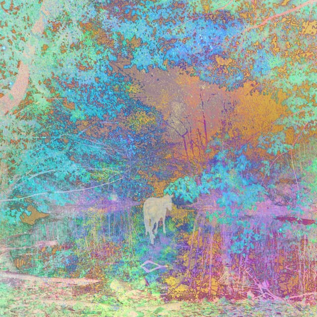 Selected Work 1999-2002 (b-sides) (remastered) cover