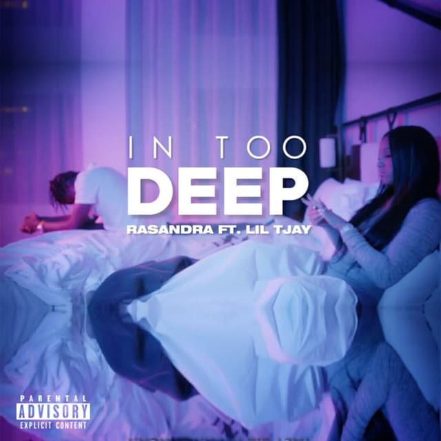 In Too Deep cover