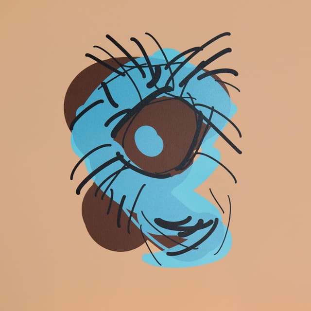 SCATTERHEAD cover