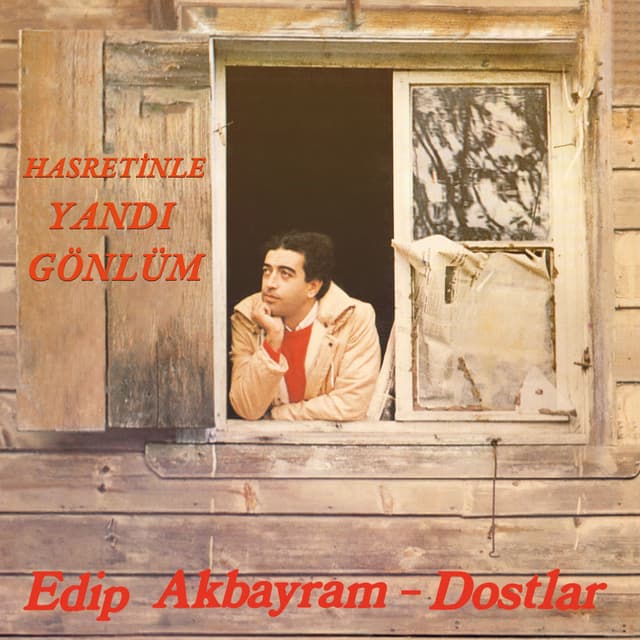 Hasretinle Yandı Gönlüm (Speed Up) cover