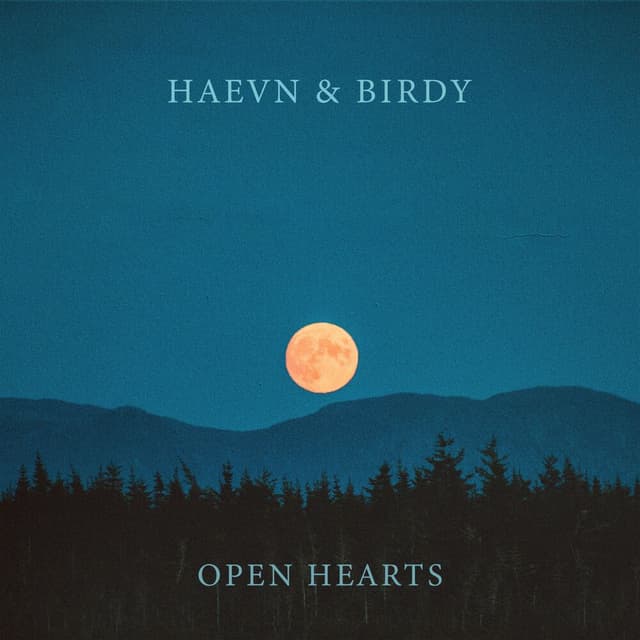Open Hearts cover